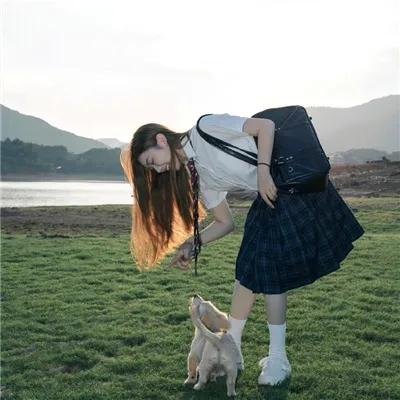 三只小猪